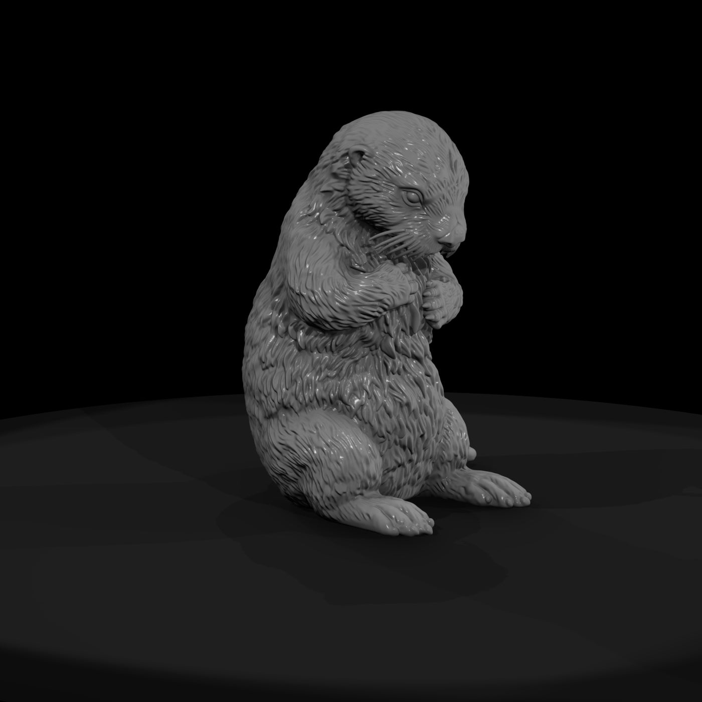 ant-185-sea-otter-female