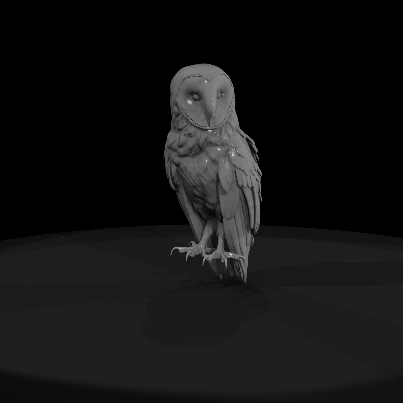 20260612-perched-barn-owl-adef489787