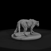 ant-008-leopard-female — thumbnail 2