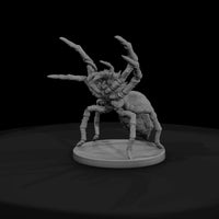 fmon-51-giant-spider-48ceac — thumbnail 2