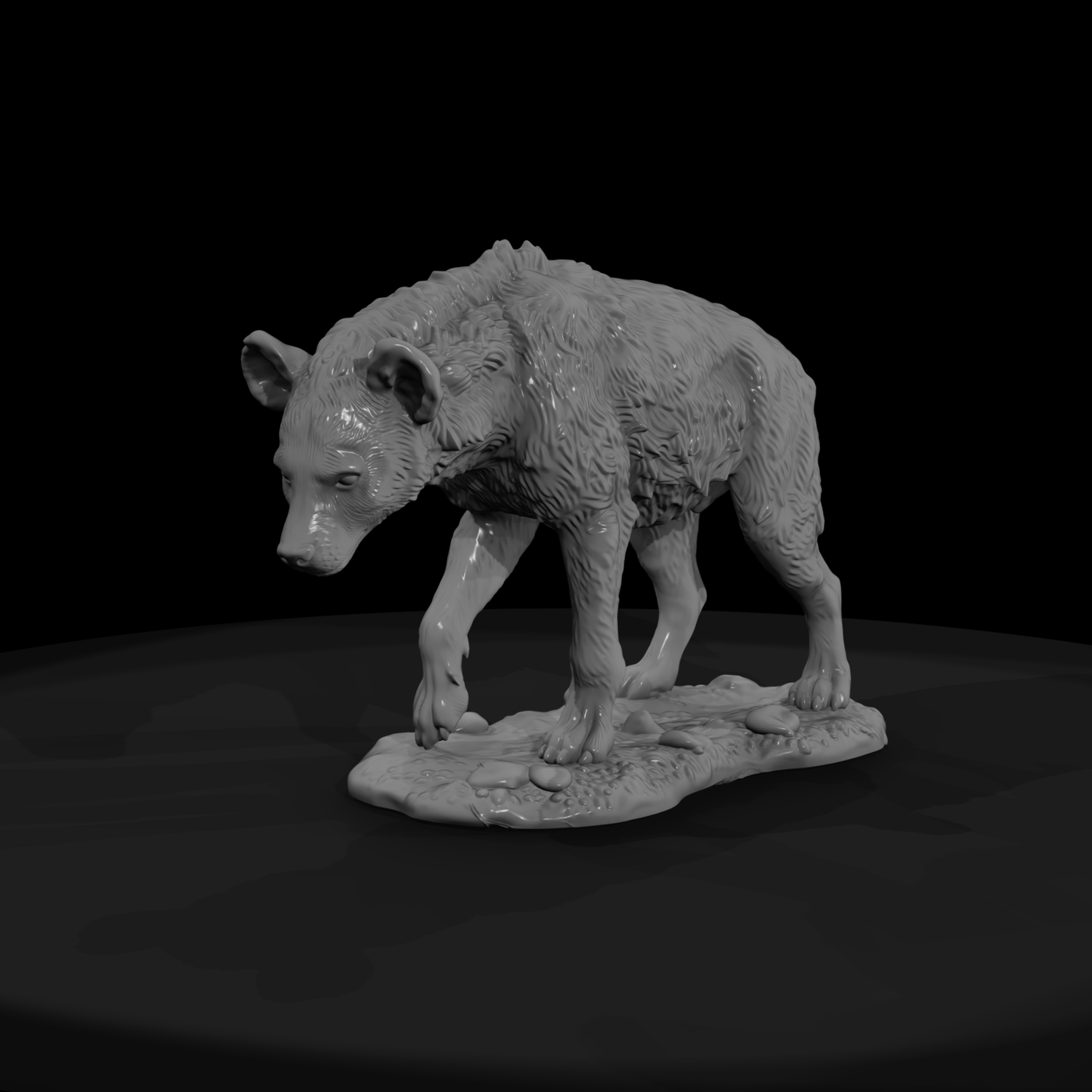Ant 262 Spotted Hyena Male