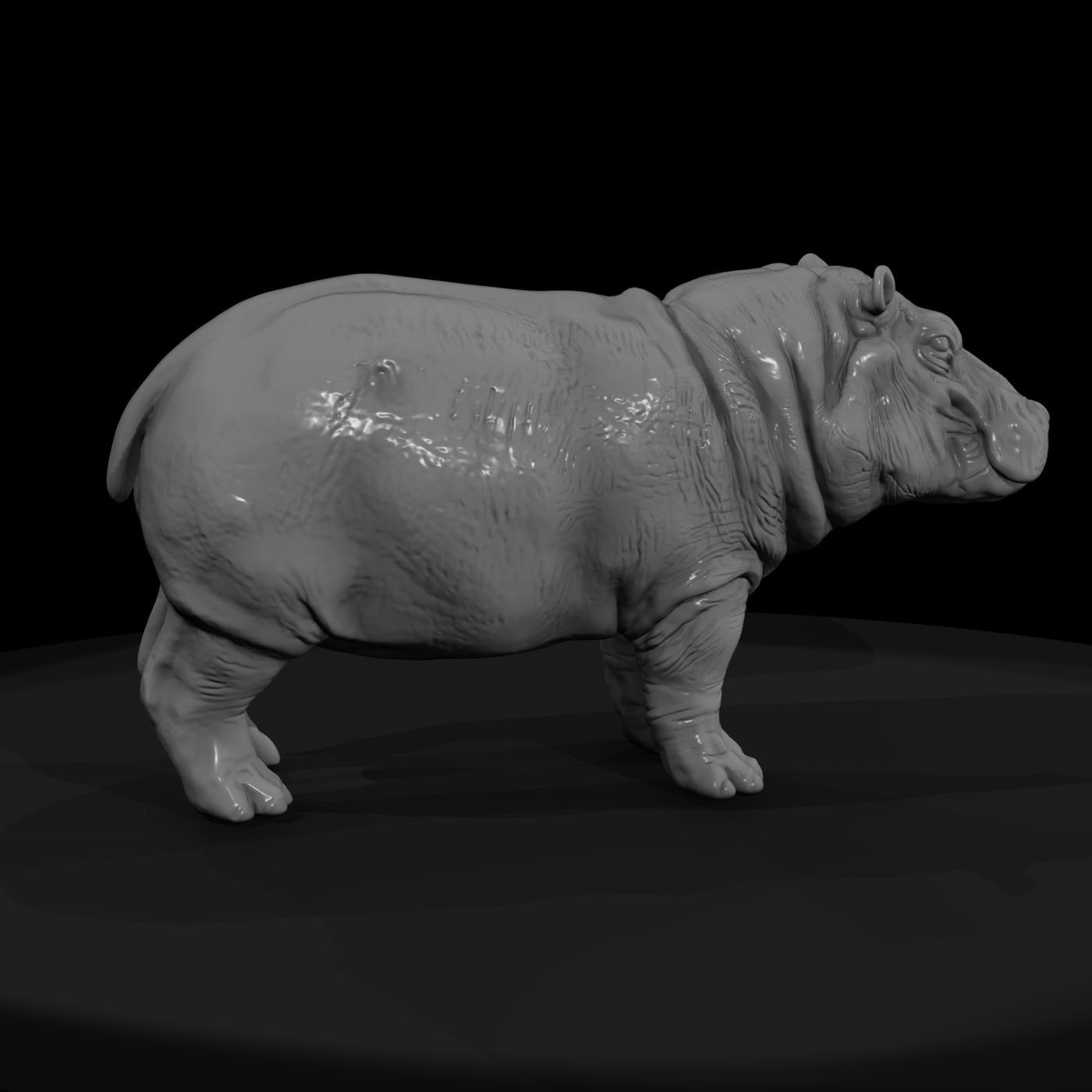 Ant 036 Hippopotamus Adolescent