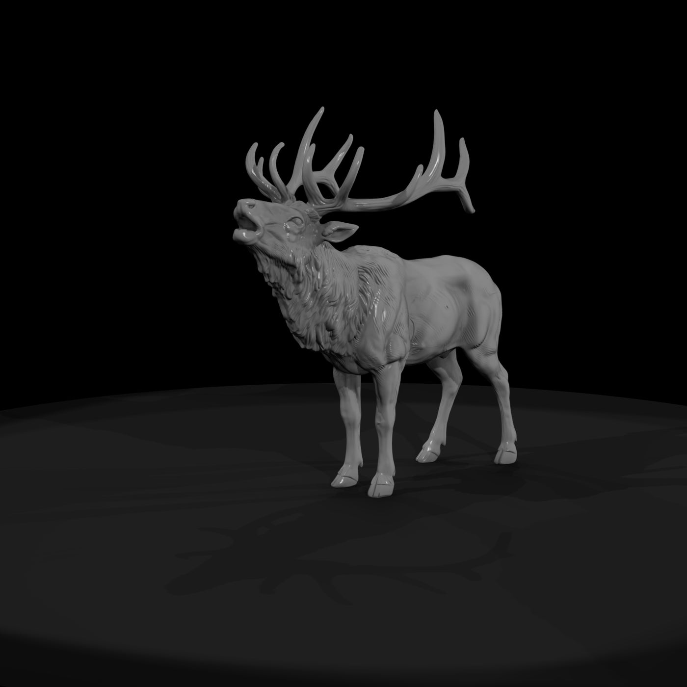 ww-0331-animal-elk
