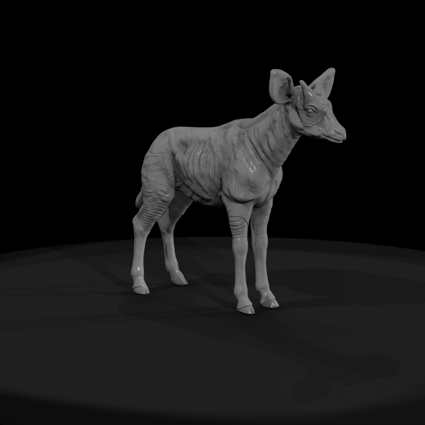 Okapi