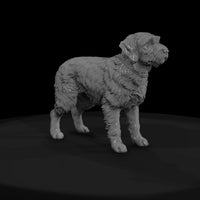hunting-dog — thumbnail 4