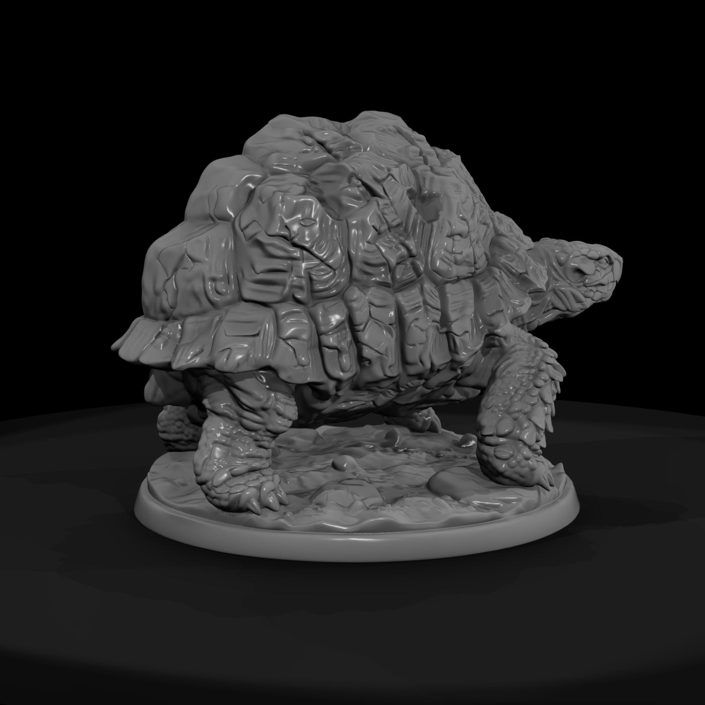 armored-rock-tortoise-043803