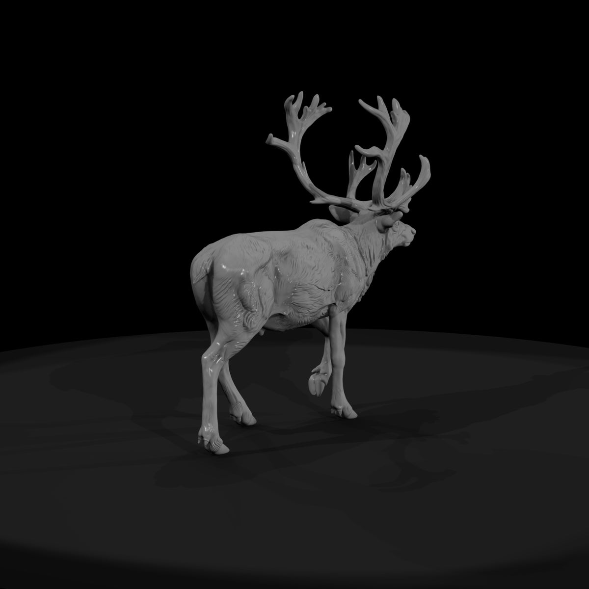 ant-061-caribou-male