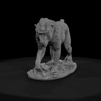 ant-107-mandrill-female — thumbnail 2