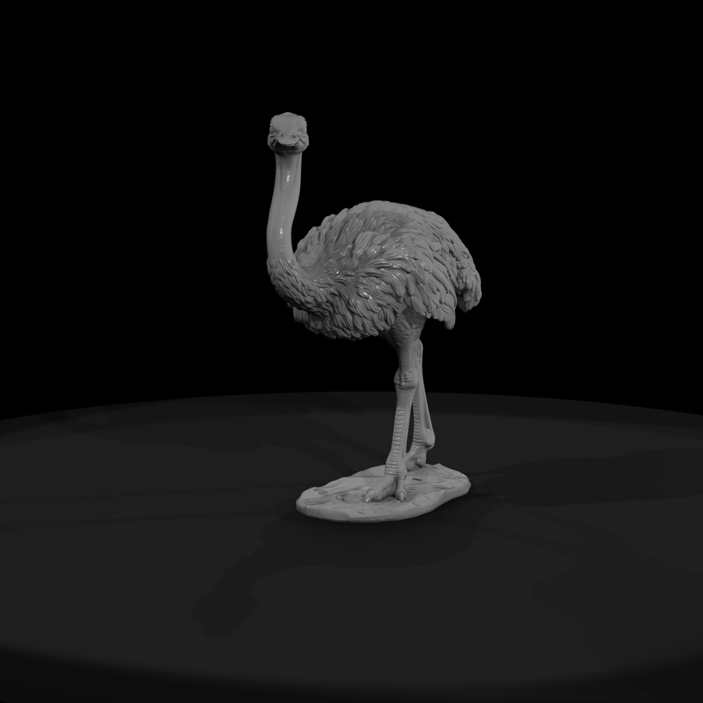 ant-083-ostrich-female