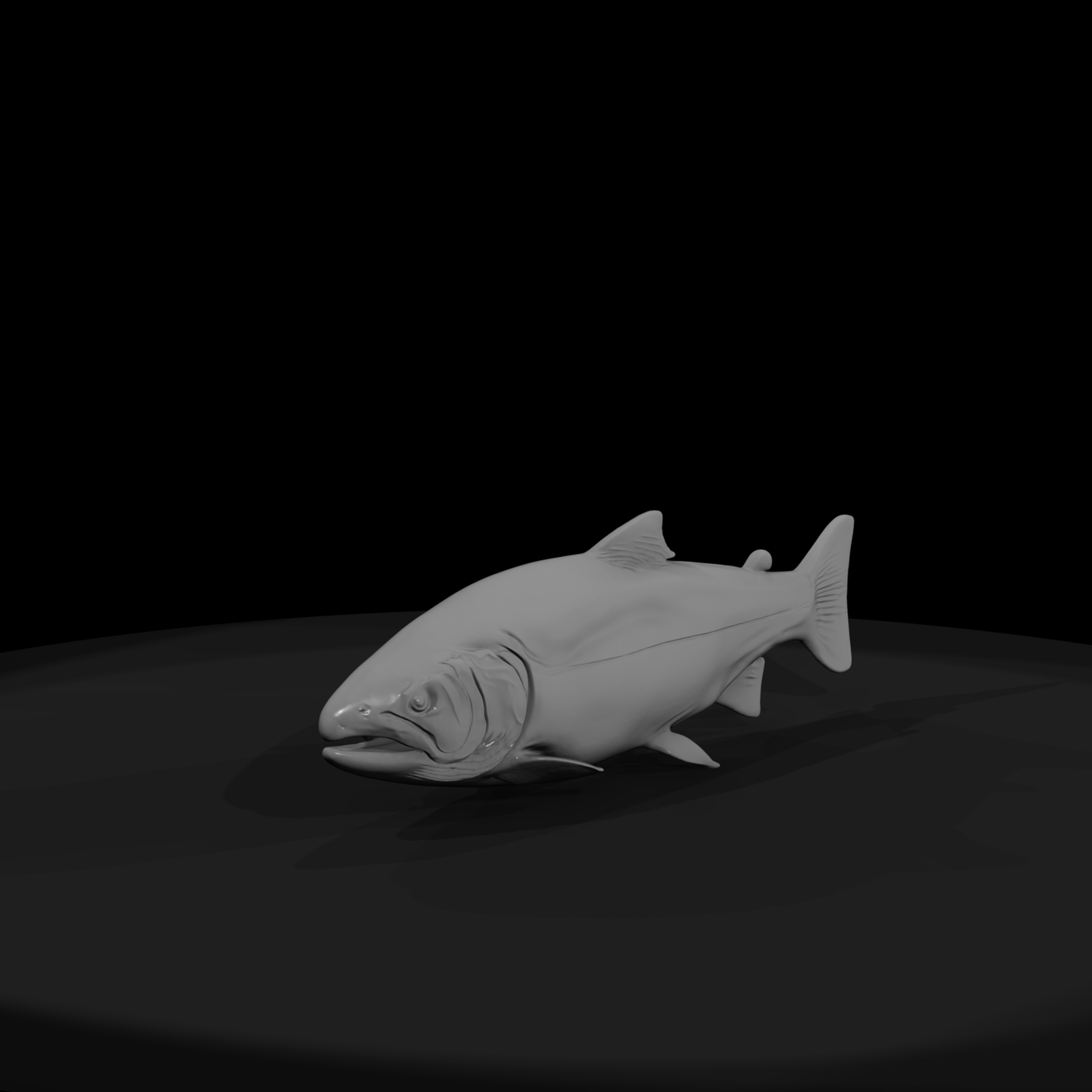 Chinook Salmon