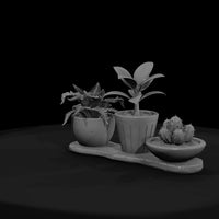 stylized-potted-plant-trio-3d-model-2bo0xtoj — thumbnail 2