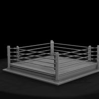 sportseq-12-boxing-ring-4879de — thumbnail 2