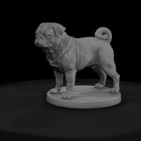 anim-12-pug-640296 — thumbnail 2