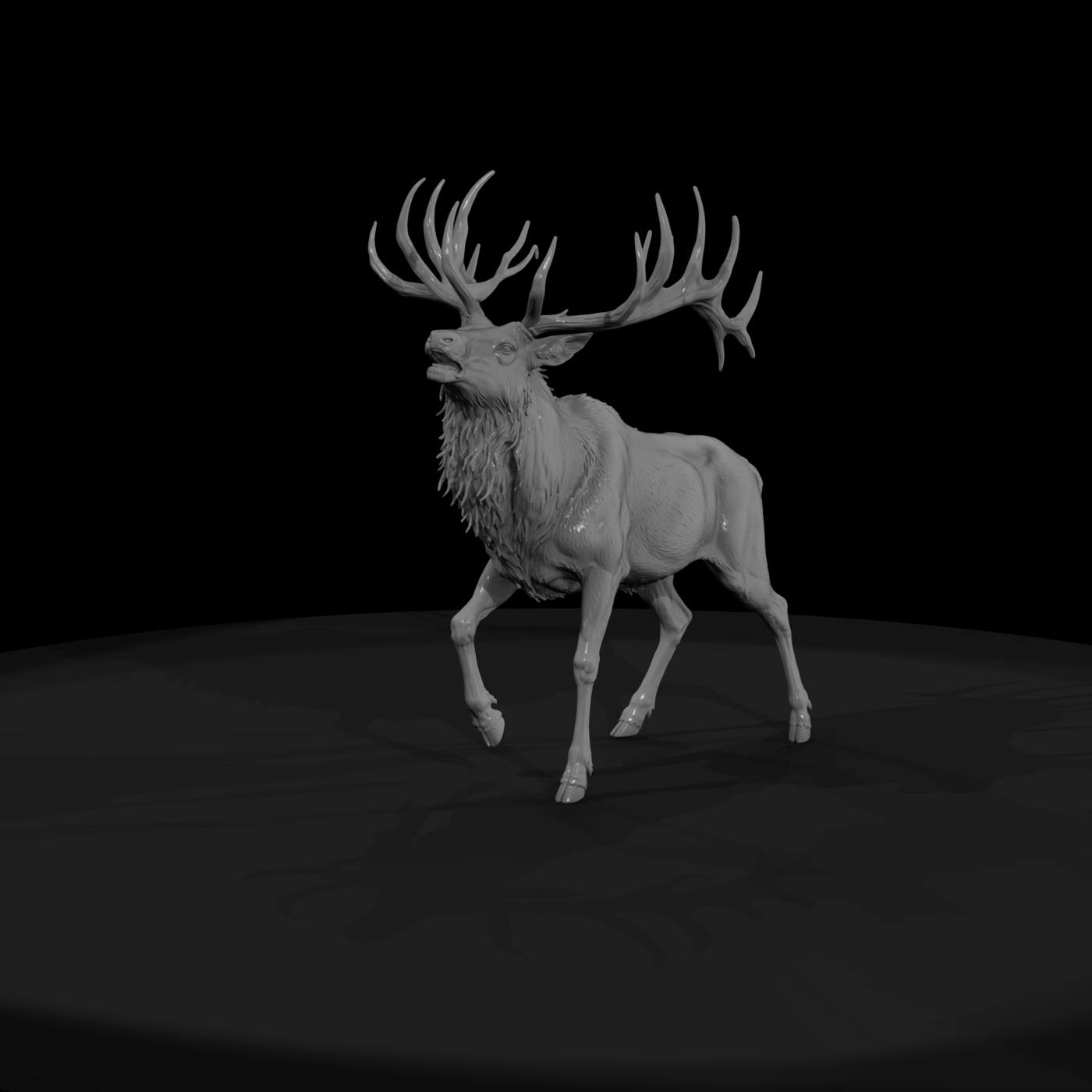 Male Elk