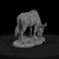 ant-227-blue-wildebeest-female — thumbnail 2