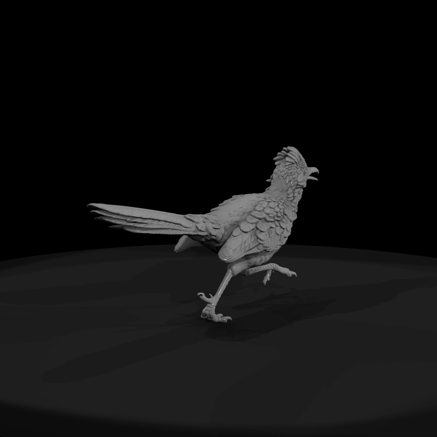 ww-0348-animal-roadrunner