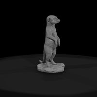 ant-190-meerkat-male — thumbnail 2