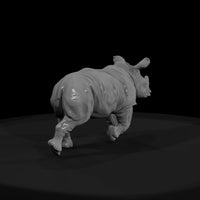 ant-033-white-rhinoceros-adolescent — thumbnail 2