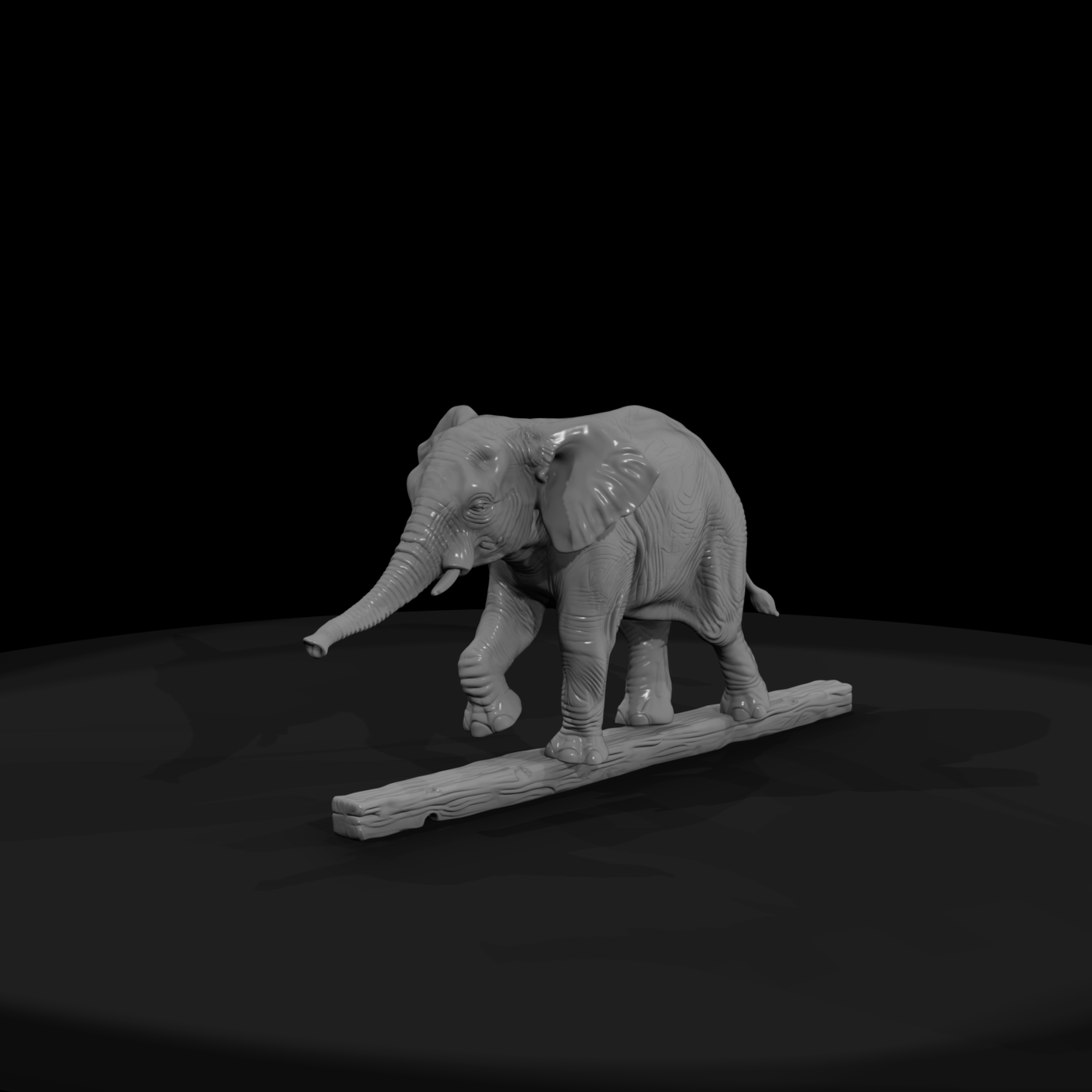 Cir 135 Animal Tightrope Elephant