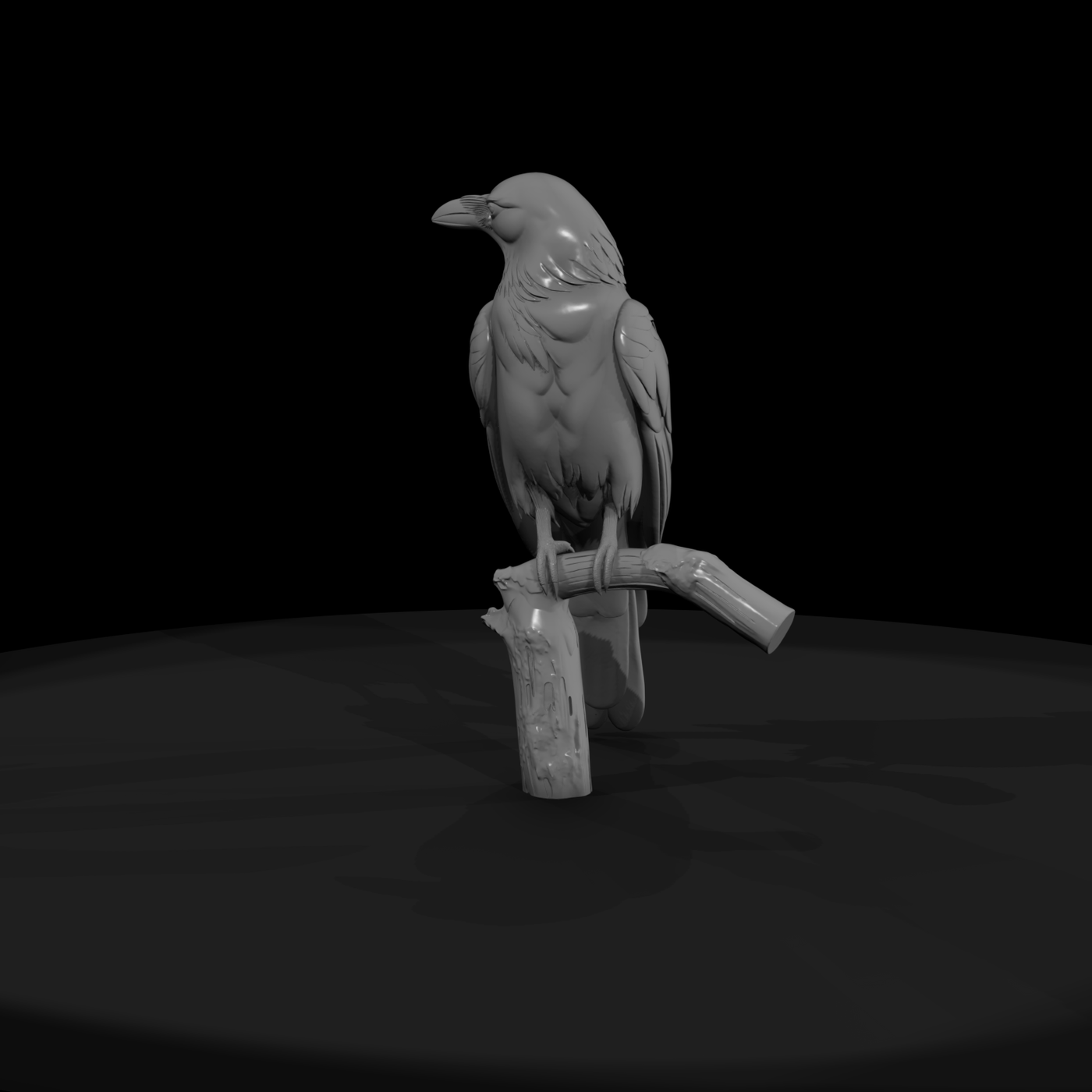 Perched Bird on Branch — Accent