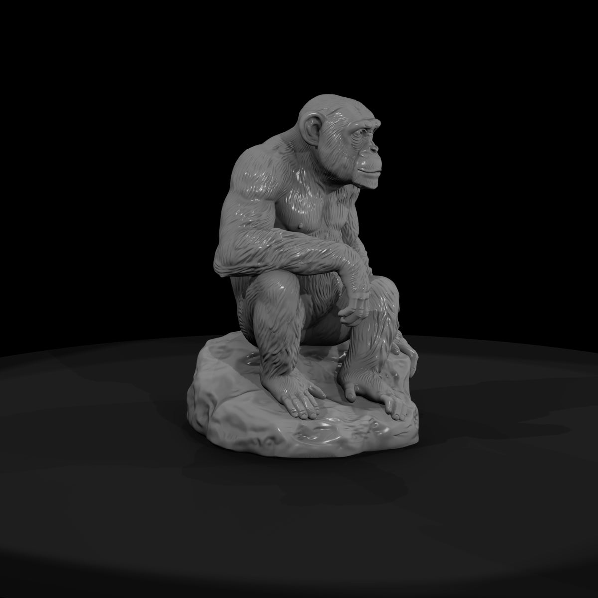 ant-194-chimpanzee-female