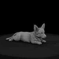 all-the-puppies-8a6f7309-meshref — thumbnail 2