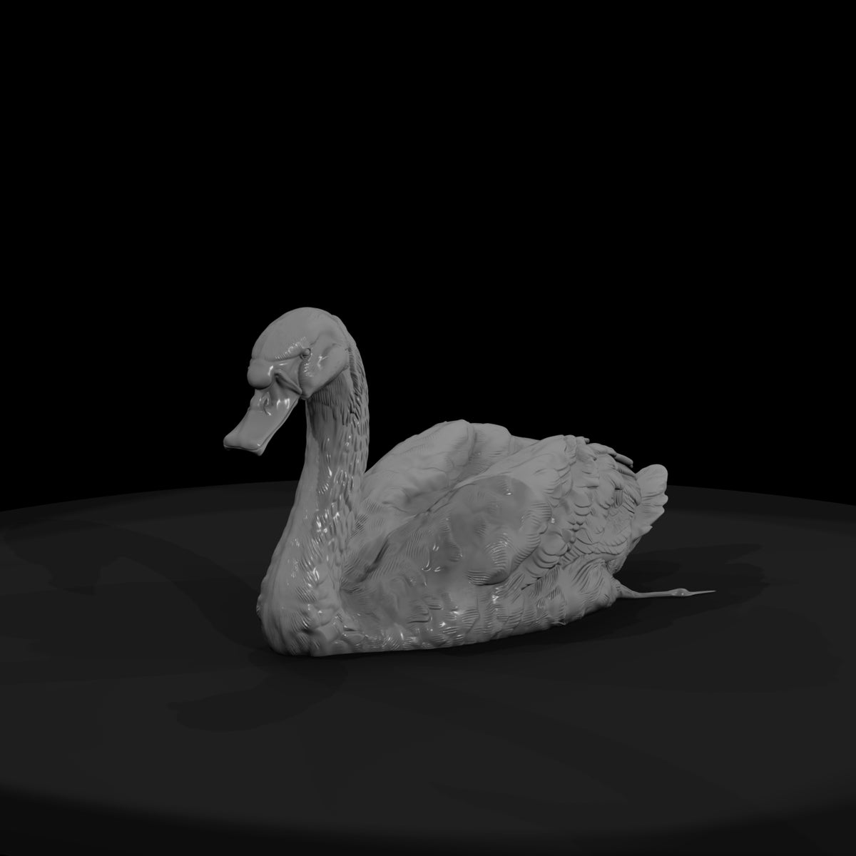ant-122-mute-swan-female
