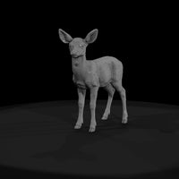 ant-042-red-deer-adolescent — thumbnail 2