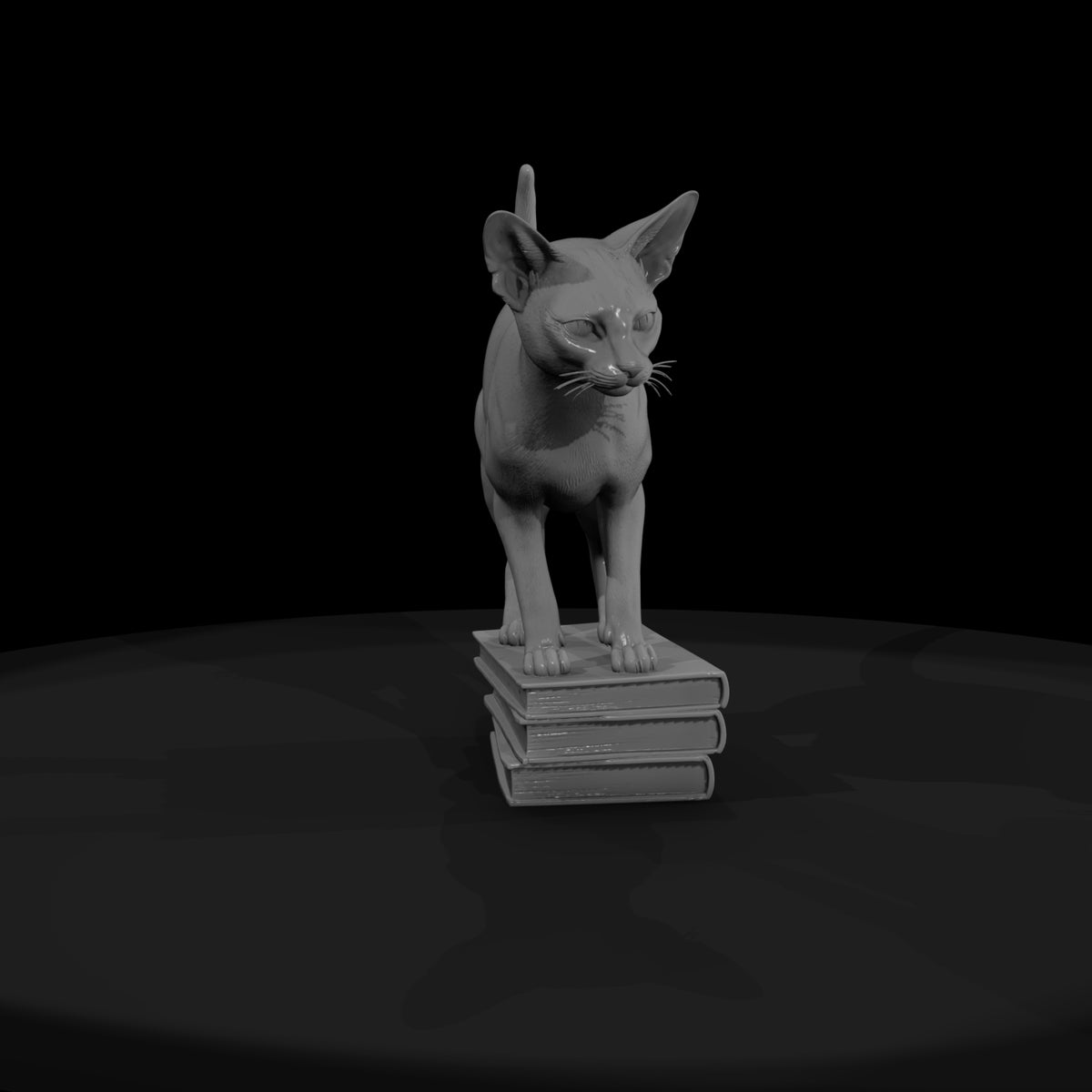 a-collection-of-housecats-abyssinian-77110fe8-mesh