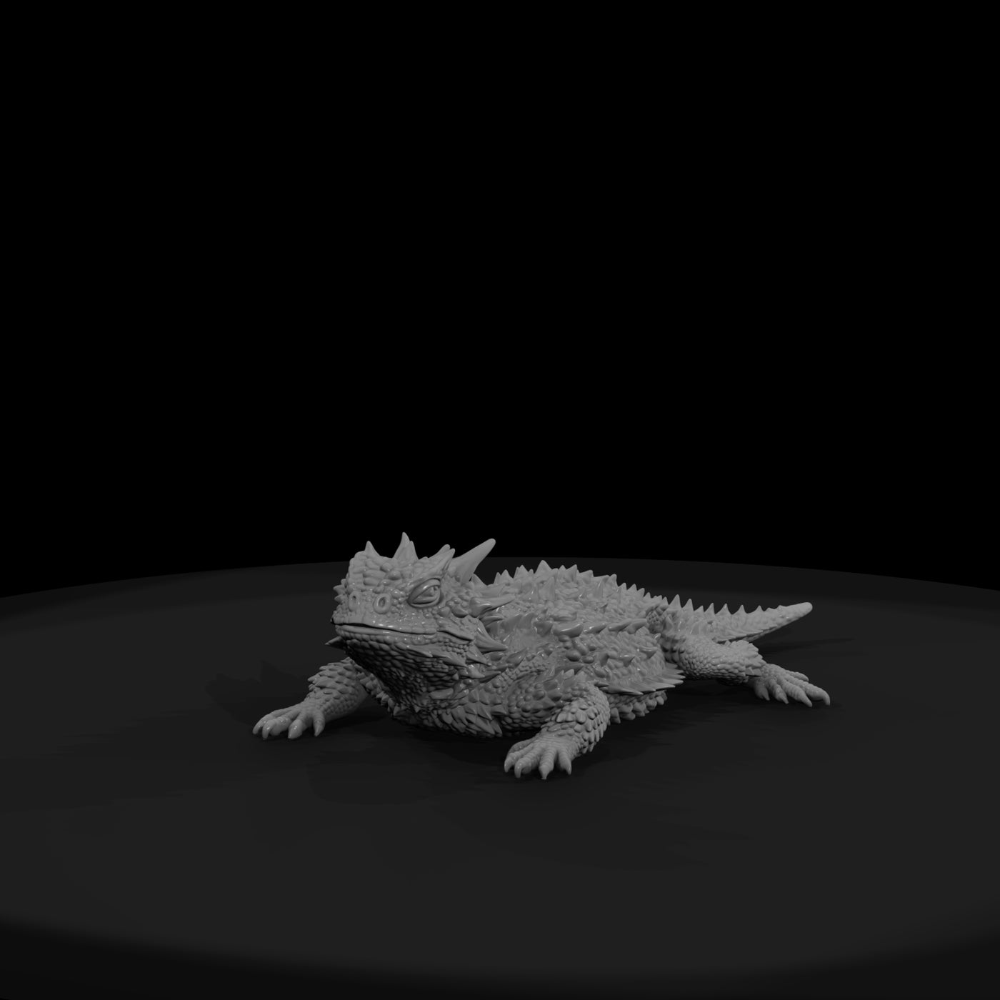 ww-0336-animal-horned-lizard