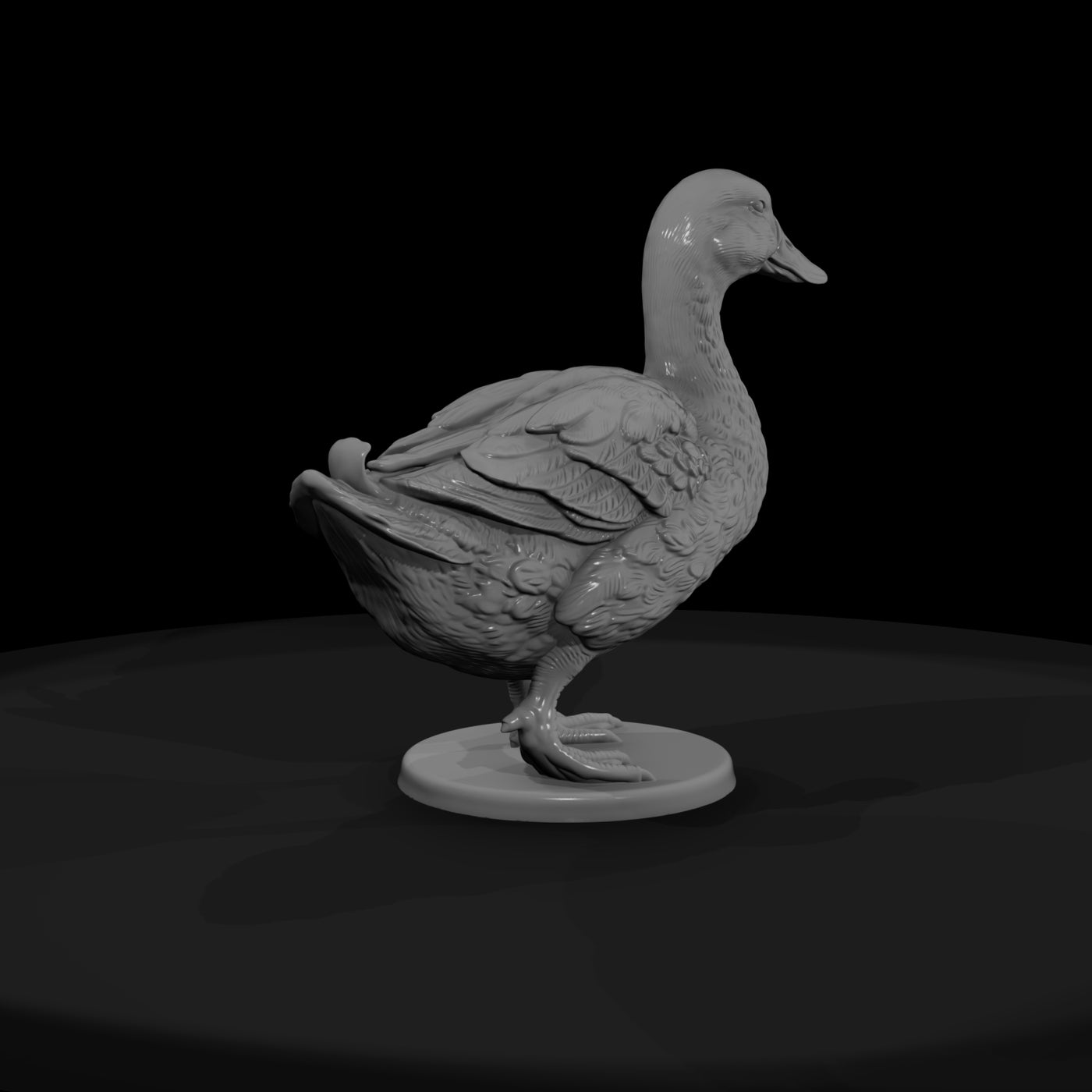 ww-0310-animal-duck