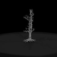 20260612-bare-tree-drawing-3f105c20f0 — thumbnail 2
