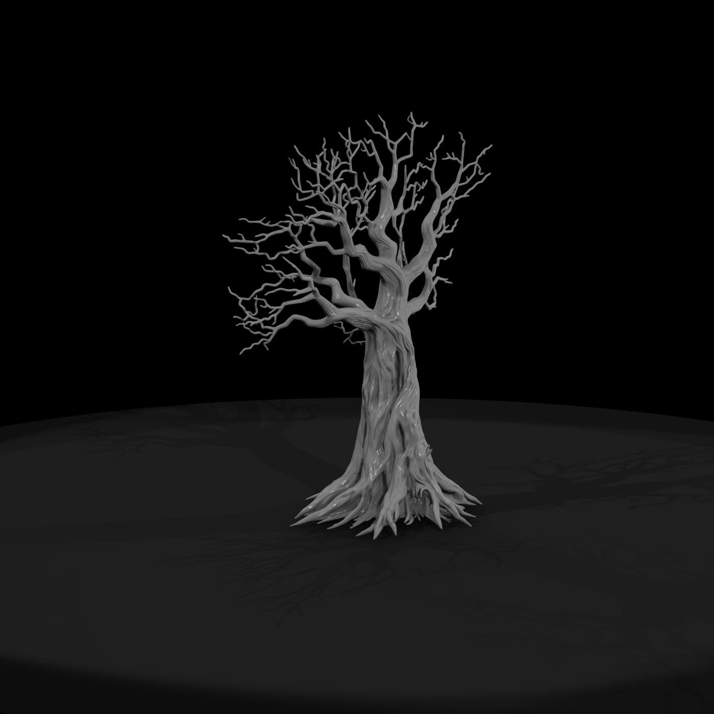 20260612-gnarled-leafless-tree-roots-ed5ca2ae15