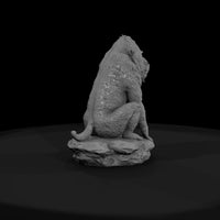 ant-106-mandrill-male — thumbnail 2