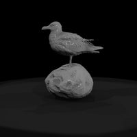 1980s-miami-beach-seagull-on — thumbnail 4