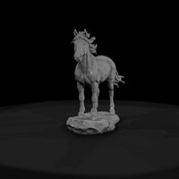 ww-0287-animal-wild-mustang — thumbnail 2