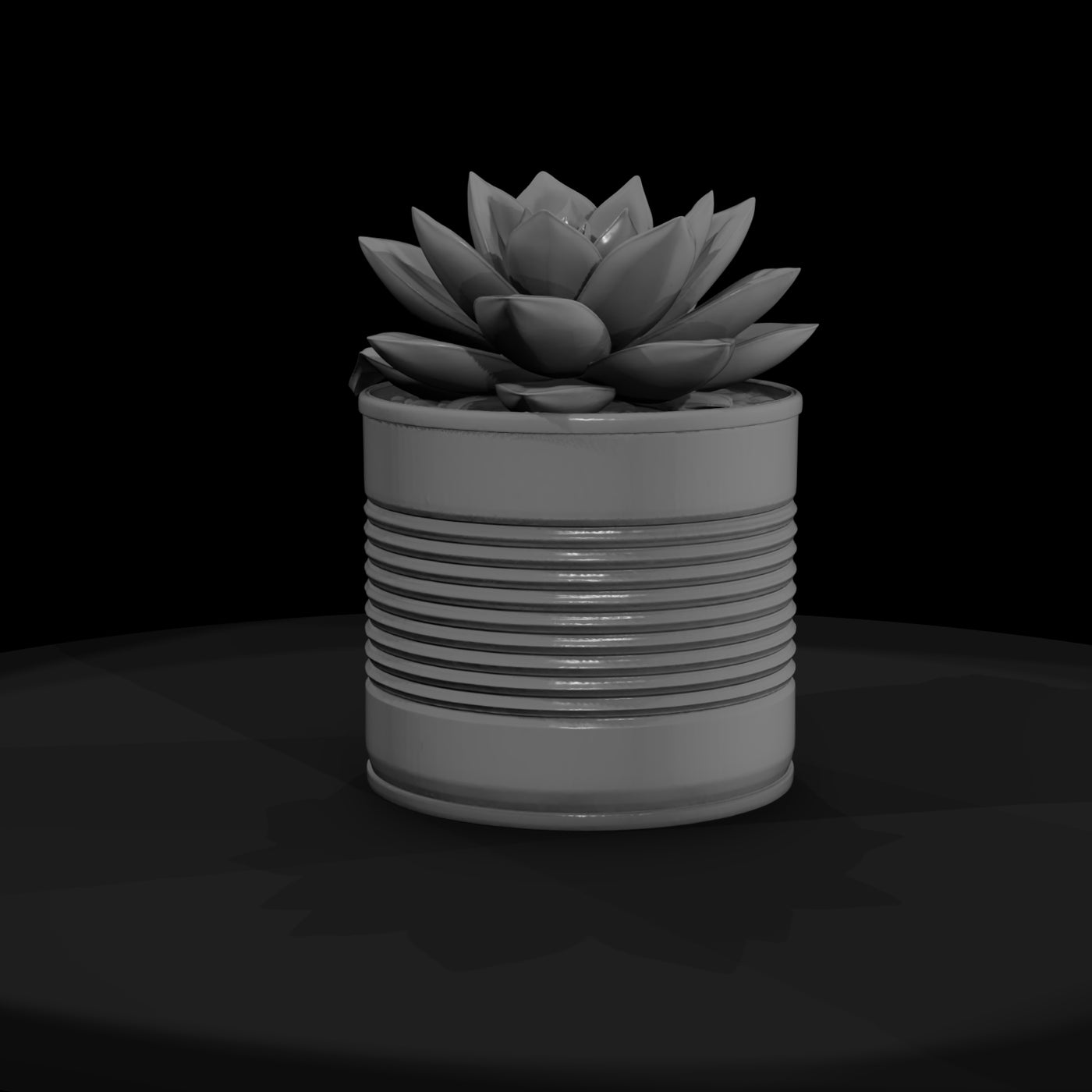 stylized-monochrome-succulent-tin-can-planter-3d-m
