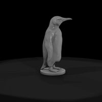 ant-299-king-penguin-female — thumbnail 2