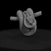 coiled-snake-on-perch-diorama-miniature-633250 — thumbnail 3