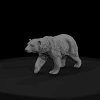 ant-209-polar-bear-female — thumbnail 2