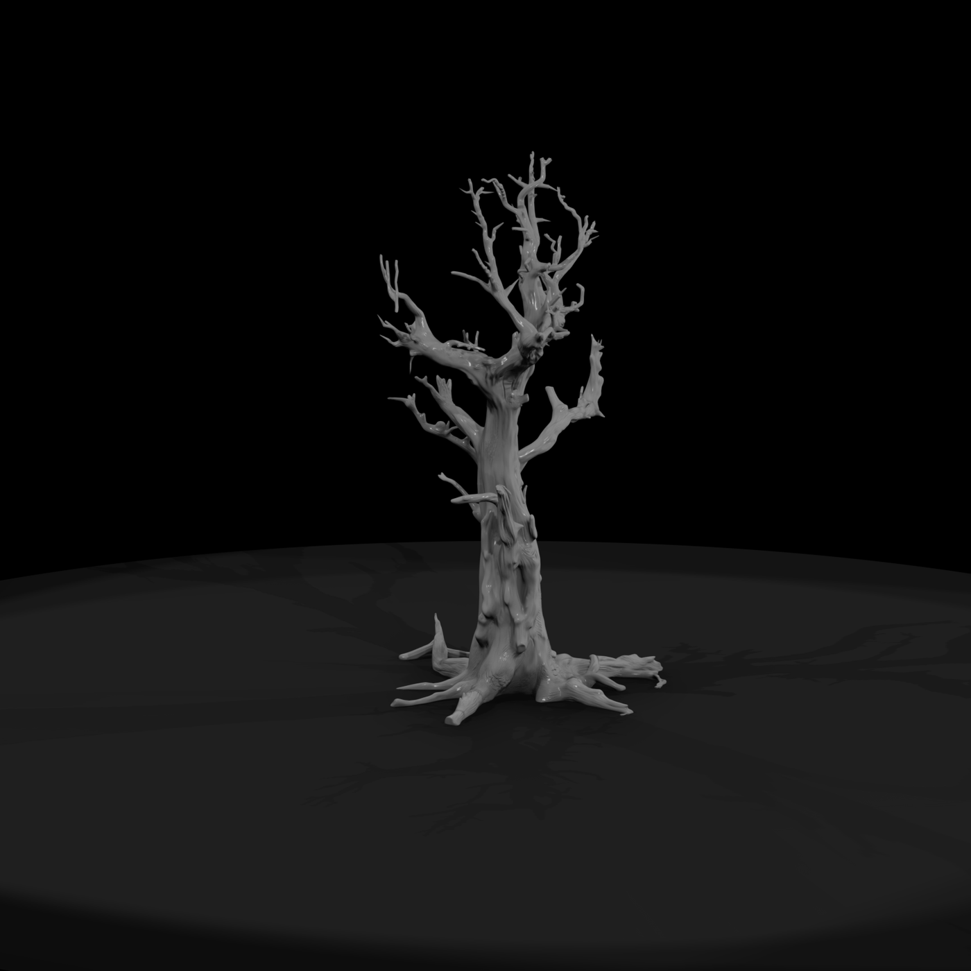20260612 Gnarled Dead Tree 0A1498Bdad