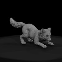 ant-174-arctic-fox-adolescent — thumbnail 2
