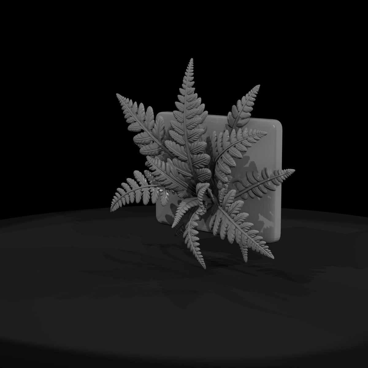 stylized_wall_mounted_fern_3d_model_l7cgdb7e