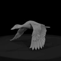 flying-duck-miniature-ho-1-87-scale-979126 — thumbnail 3