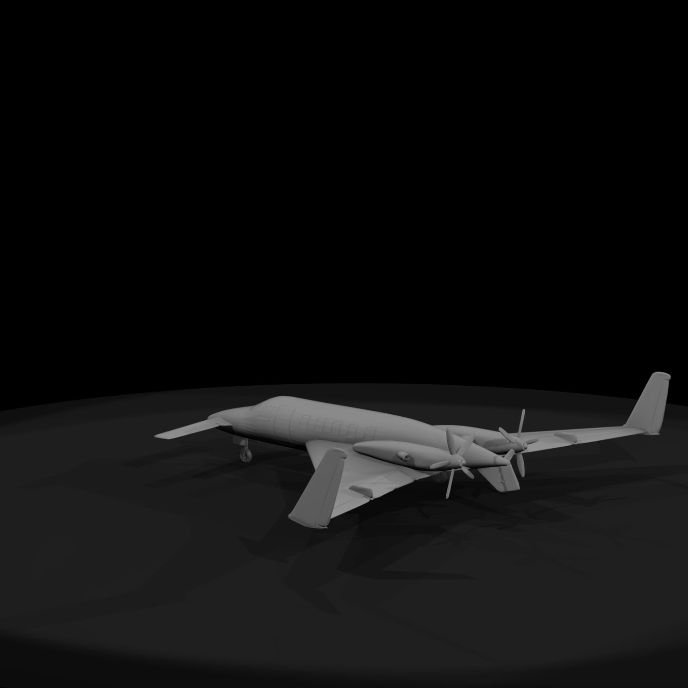 beach-starship-2025