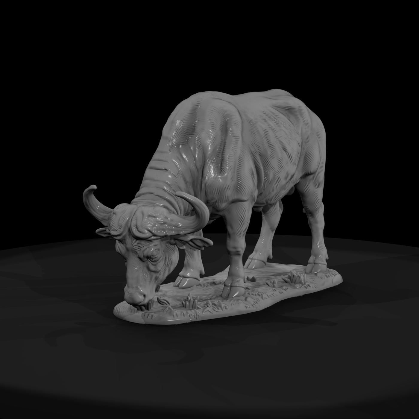 ant-224-cape-buffalo-female