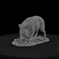 ww-0321-animal-javelina — thumbnail 2