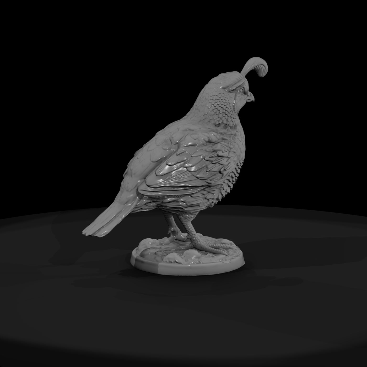 ww-0349-animal-gambel-s-quail