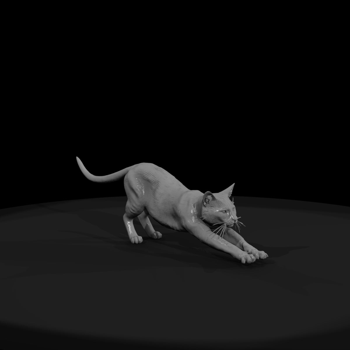 a-collection-of-housecats-gray-db27f8fd-meshref
