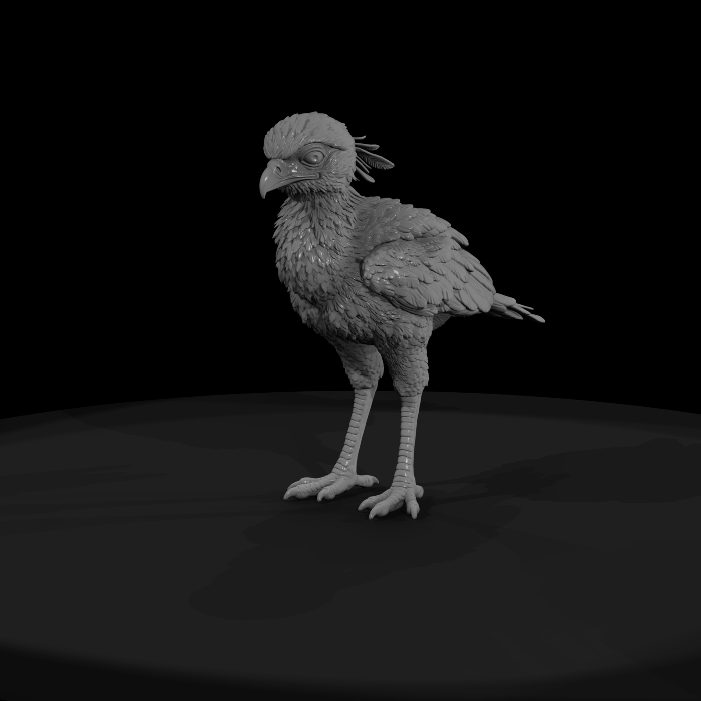 Ant 294 Secretary Bird Adolescent